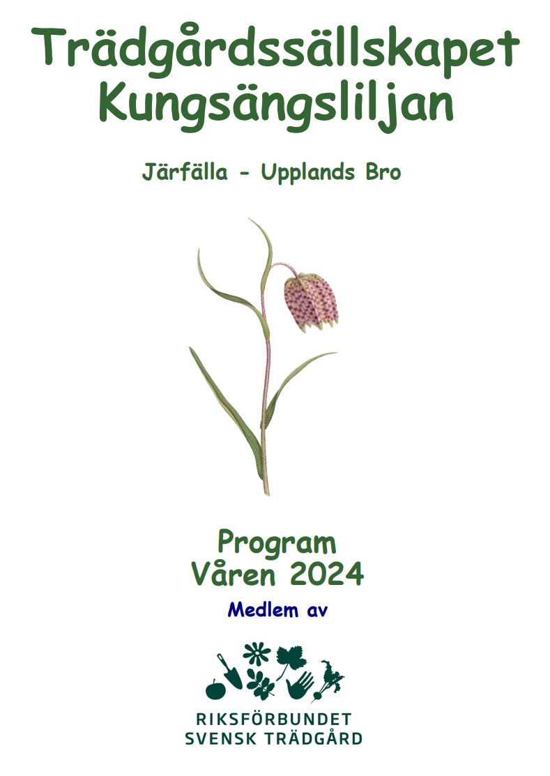 Vårens program 2024